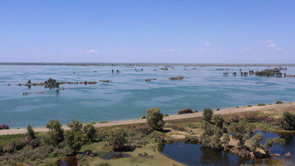 筑牢安全防线 守护生命之源——沙雅县多措并举确保塔河安澜度汛